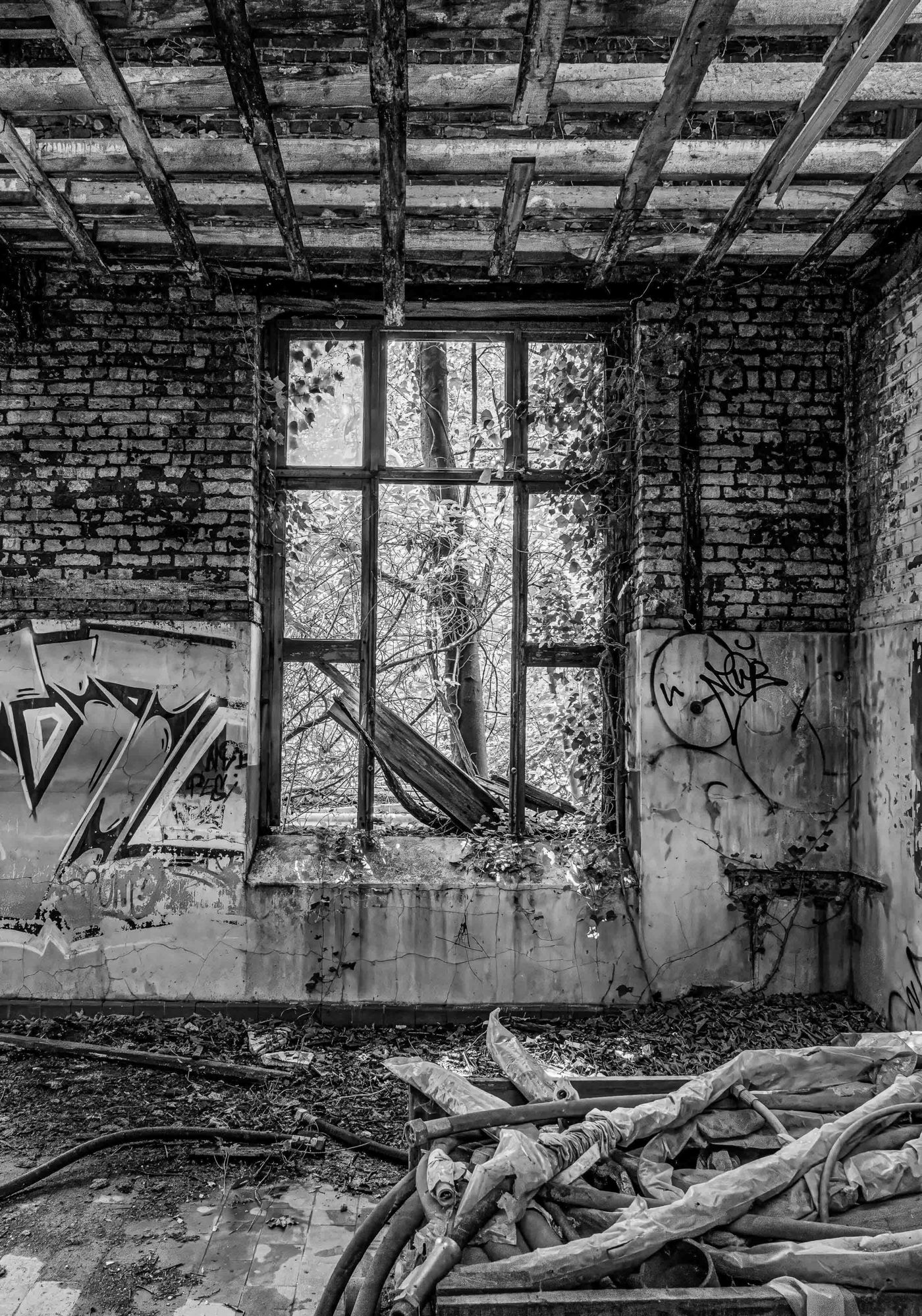© Inge Vankeirsbilck