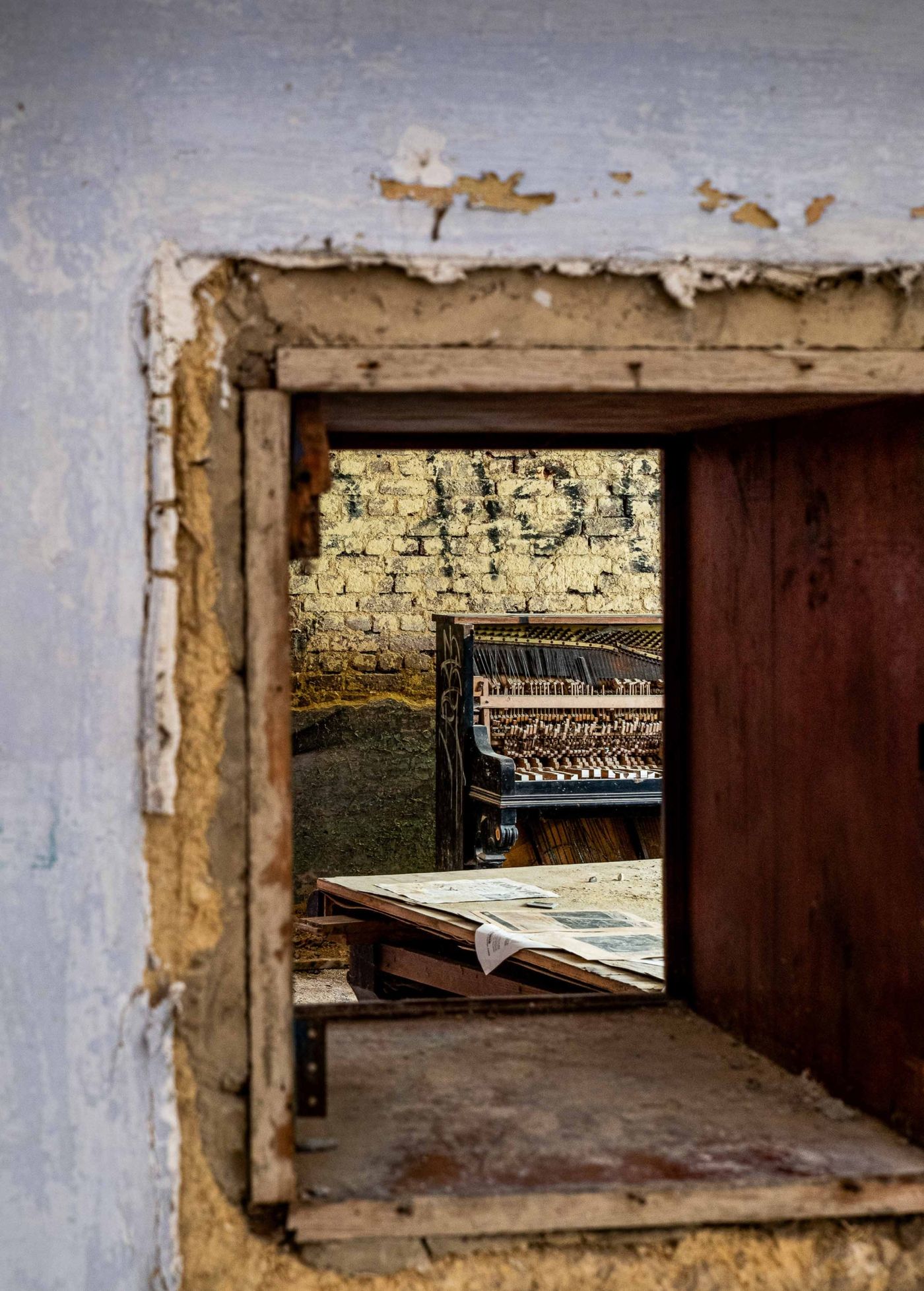 © Inge Vankeirsbilck