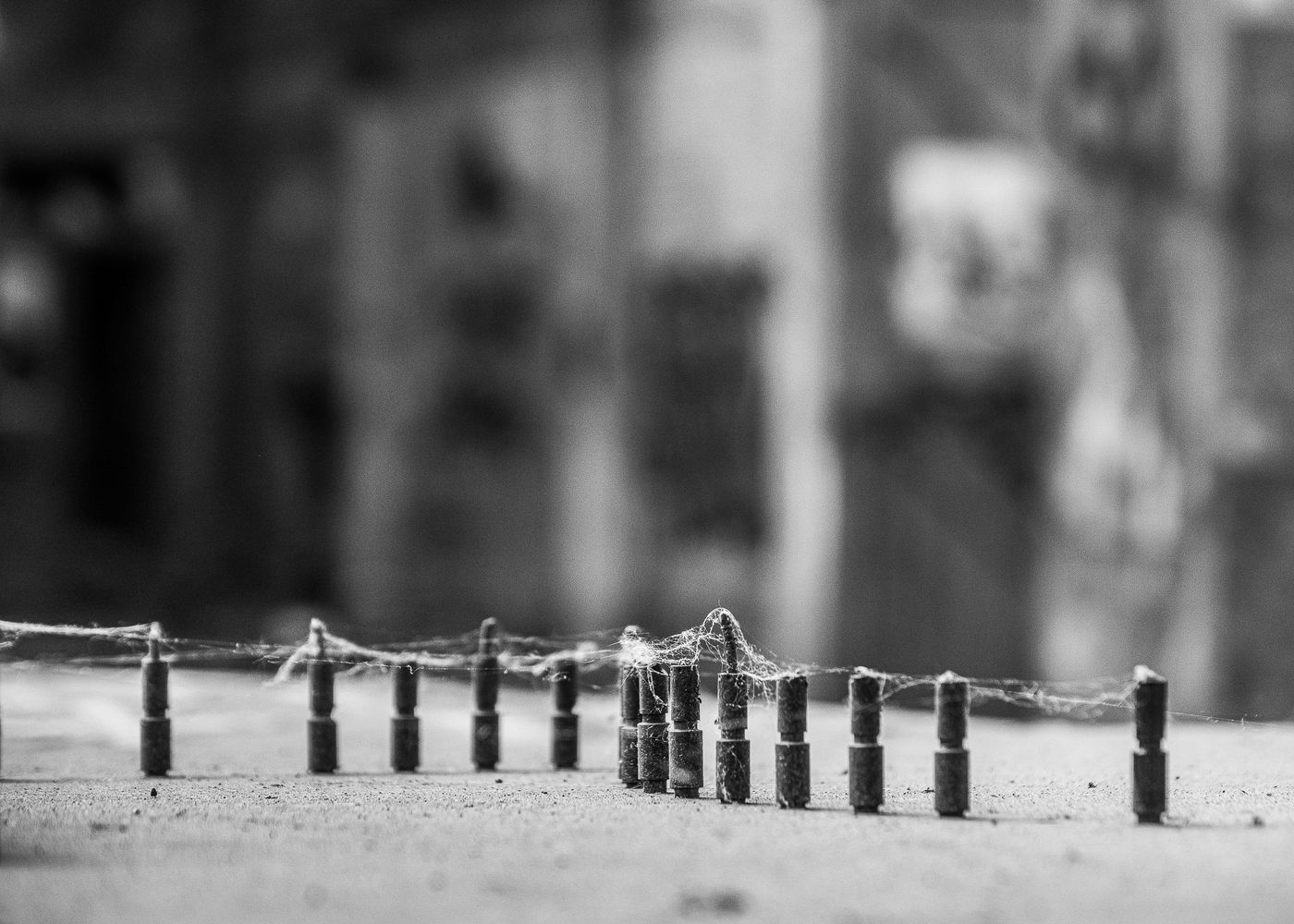 © Inge Vankeirsbilck
