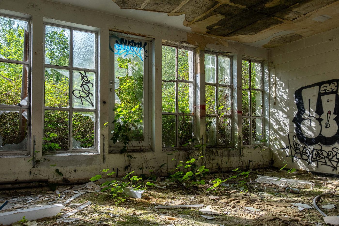 © Inge Vankeirsbilck