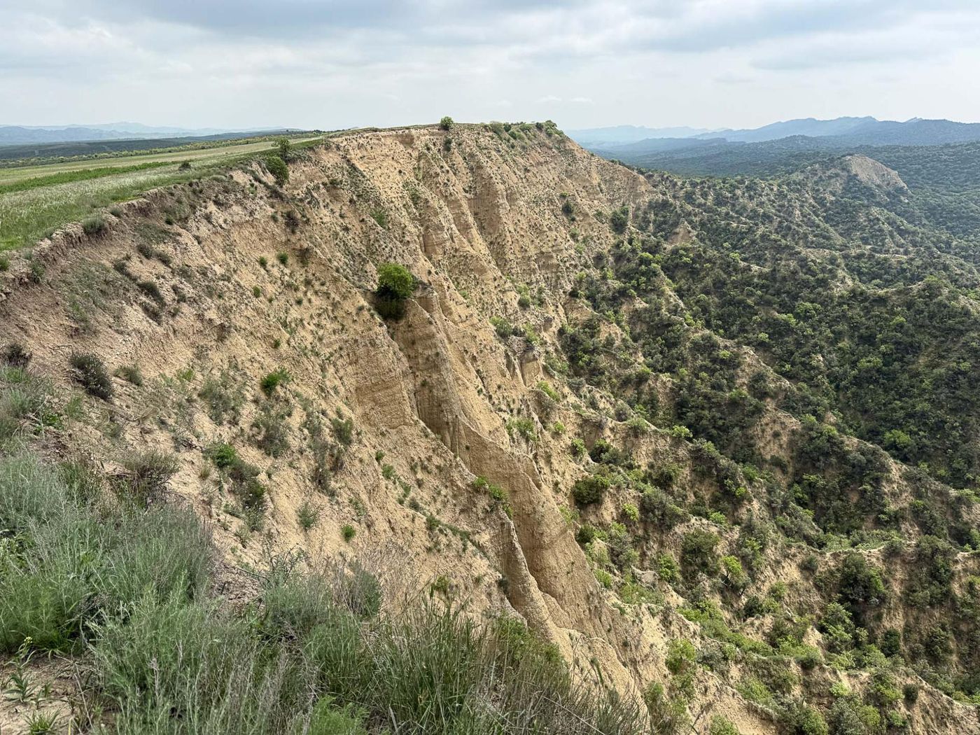 Het uitzicht vanaf de uitkijkpost. © Jan Heip