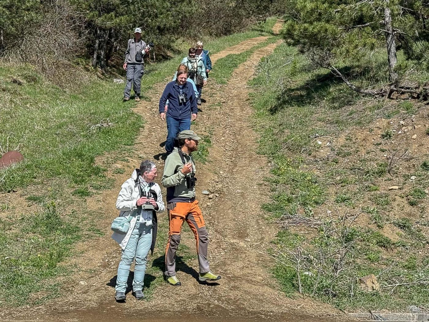 Terugkomst uit het dennenbos waar we de Turkse boomklever zagen. © Jan Heip