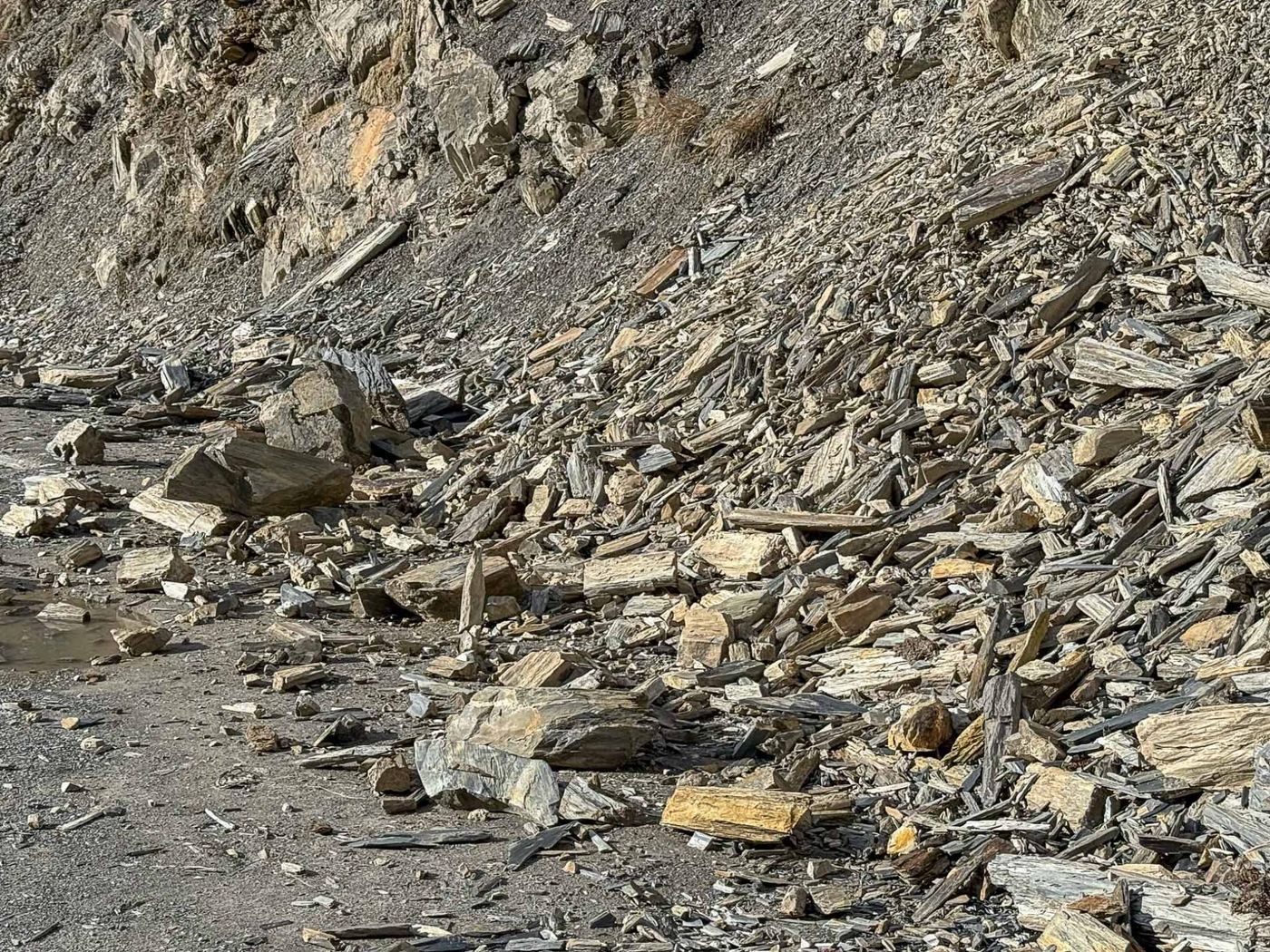 De piste was versperd met keien en rotsen. © Jan Heip