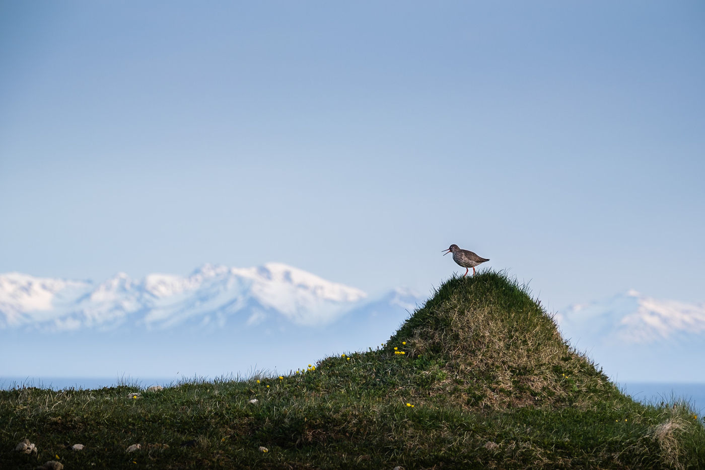 © Jeffrey Van Daele