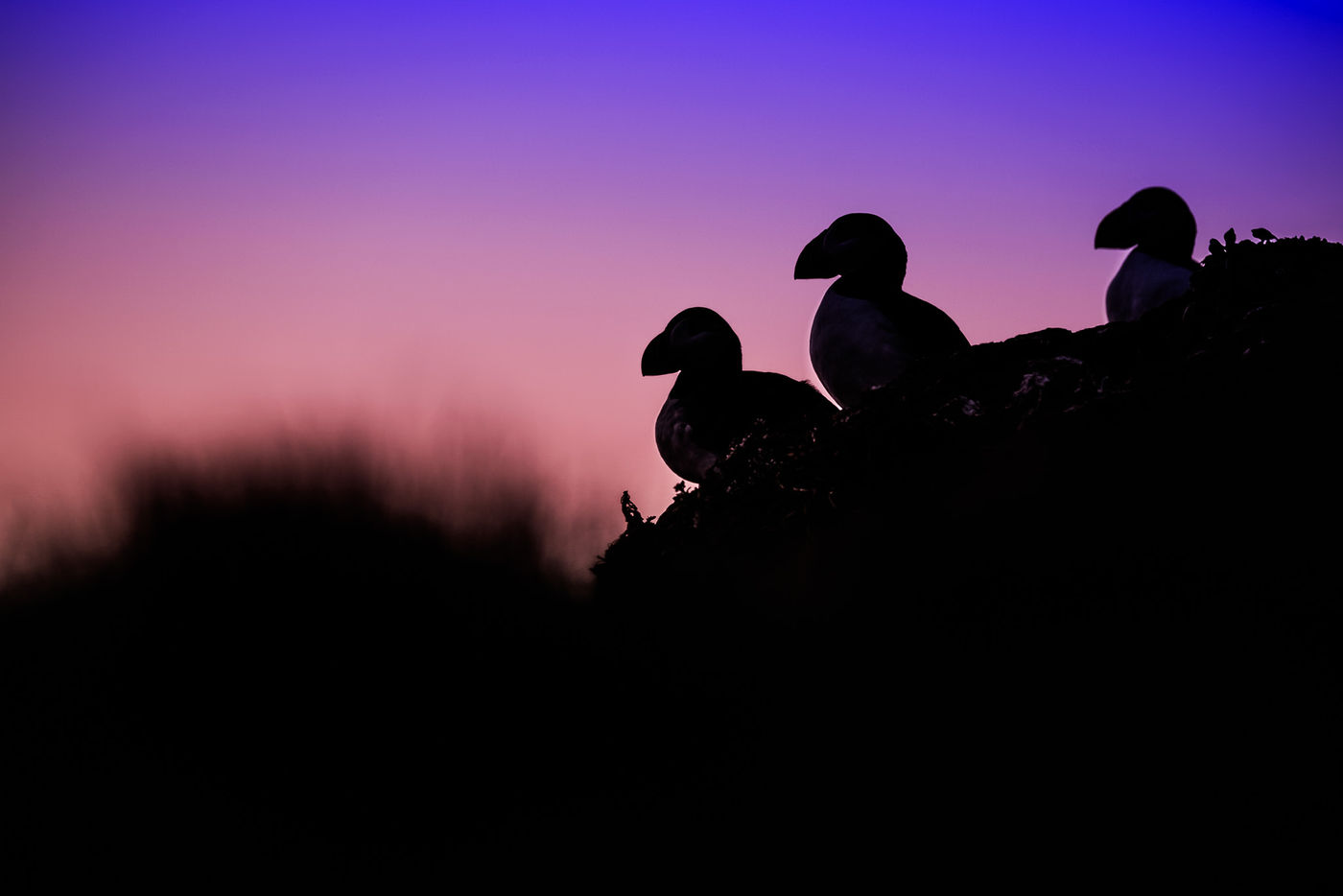 © Jeffrey Van Daele