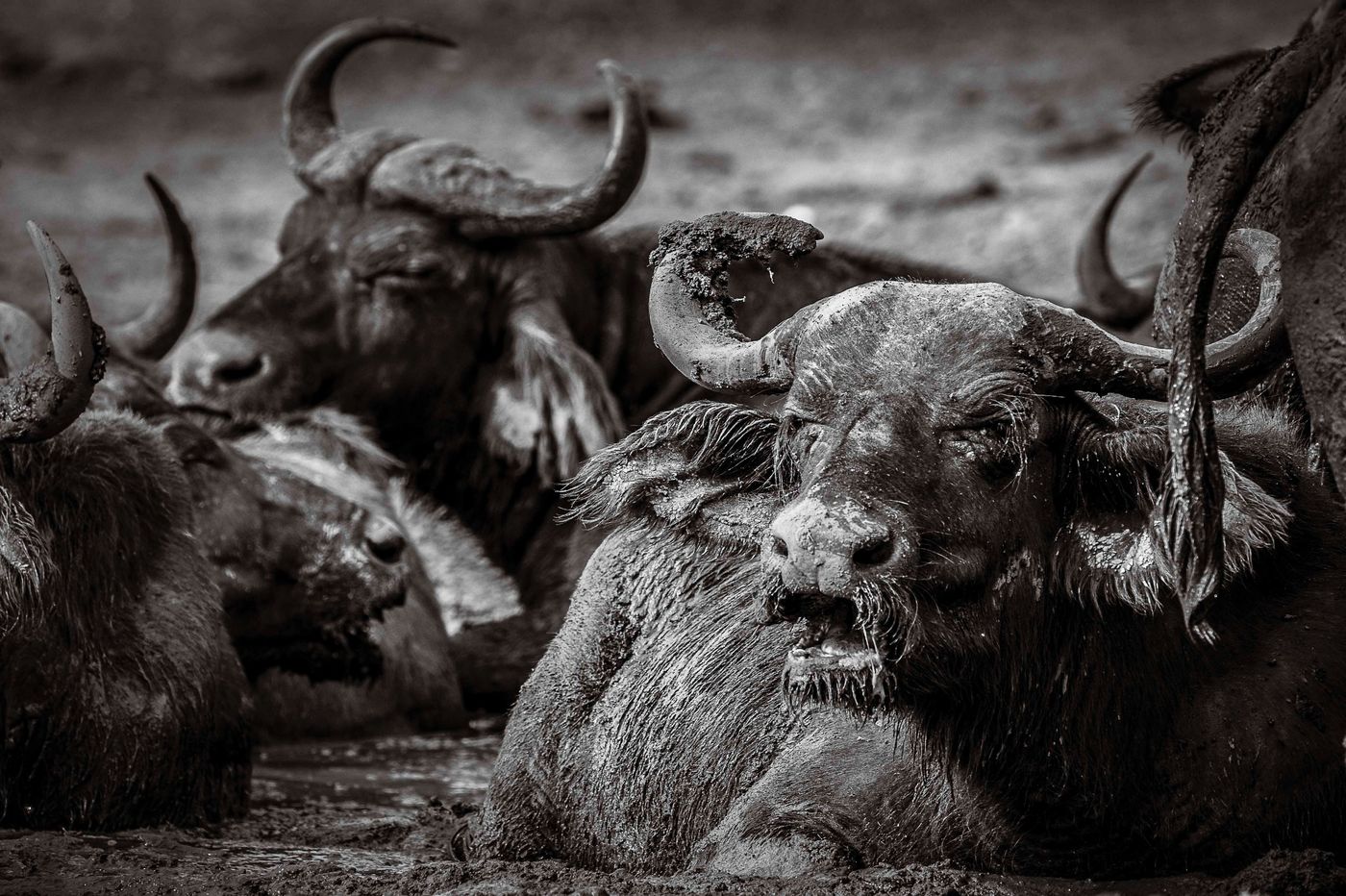 © Pieter Ingelaere