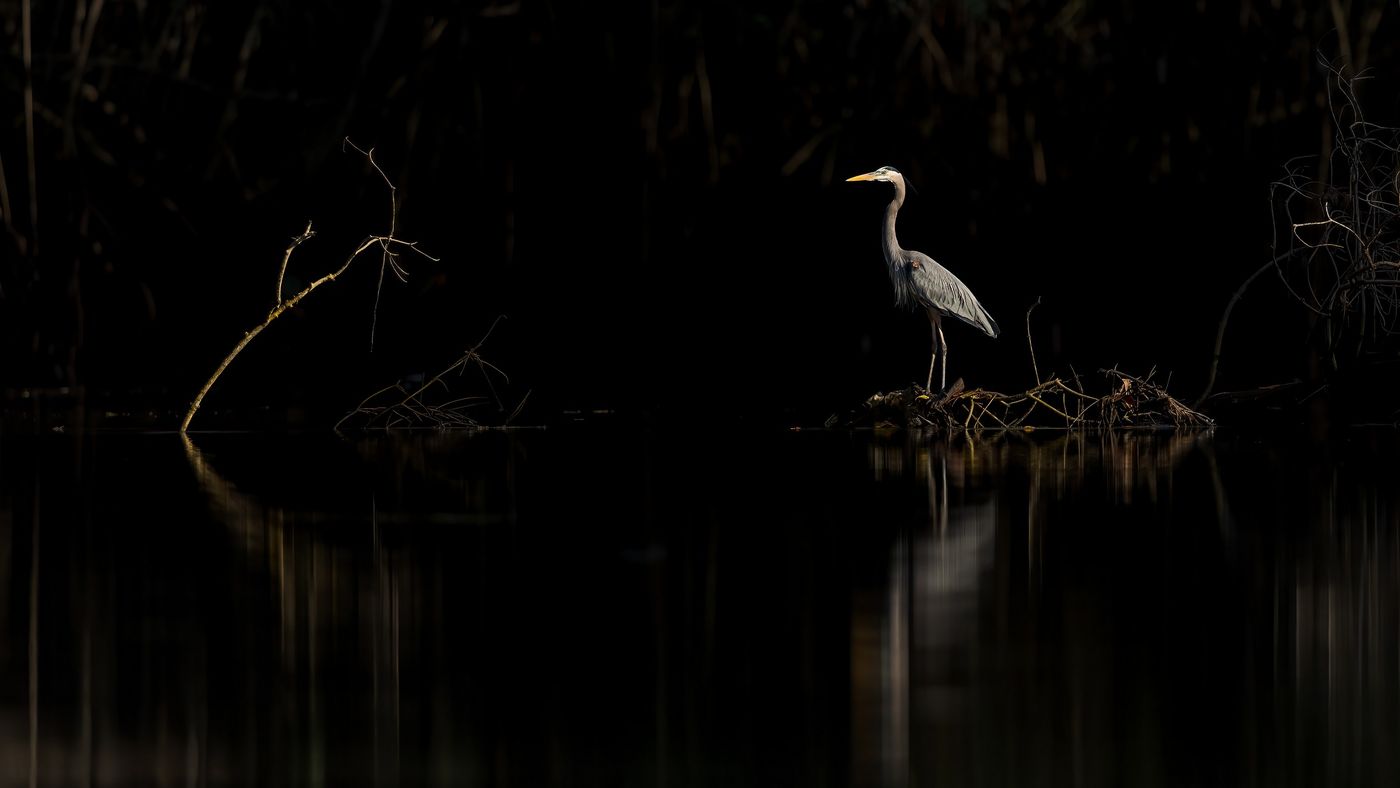 © Dirk Cleiren