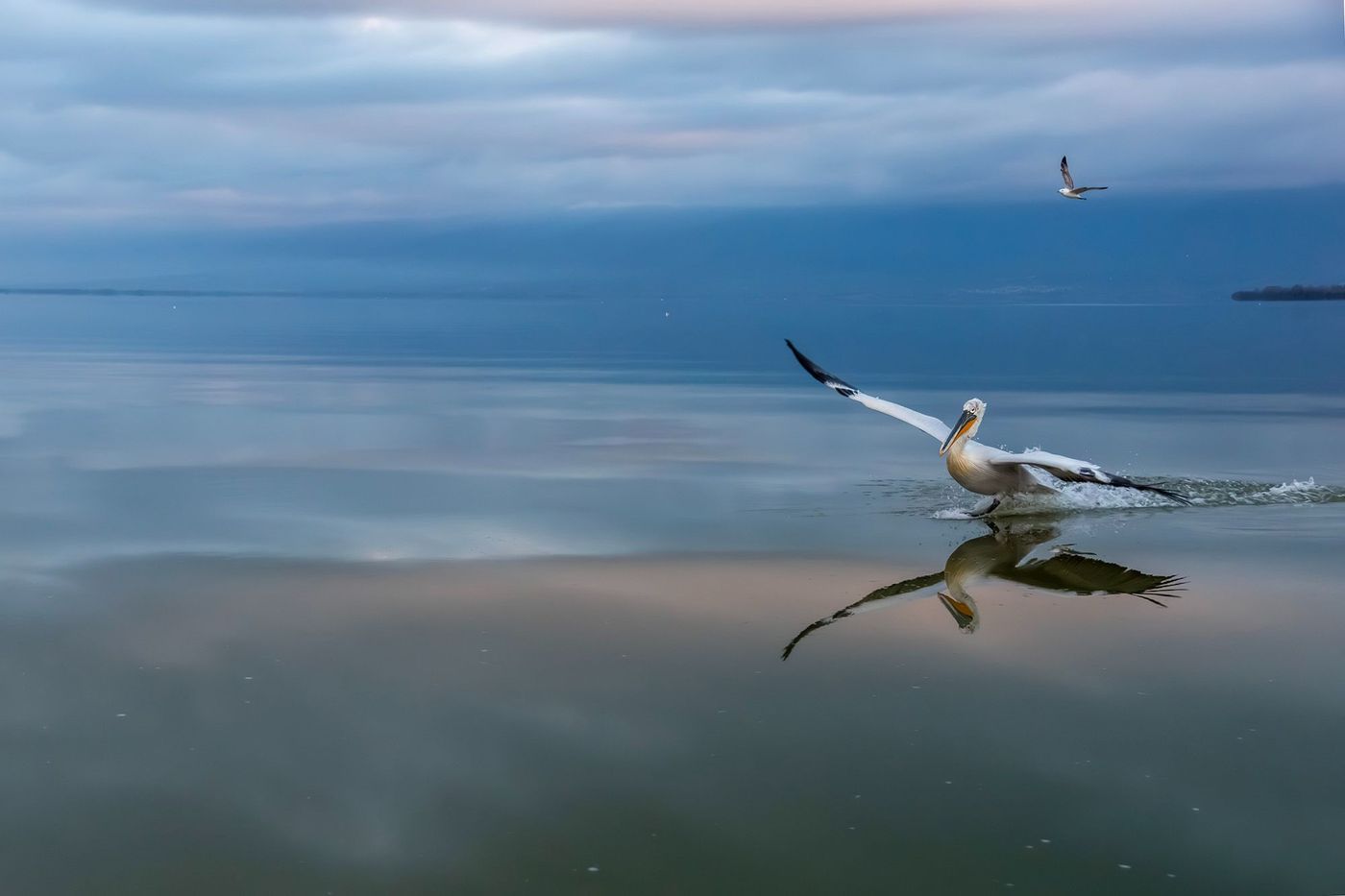 © Lieve Van Isacker