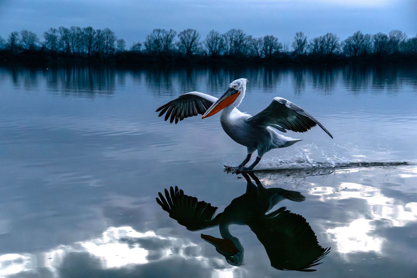 © Lieve Van Isacker