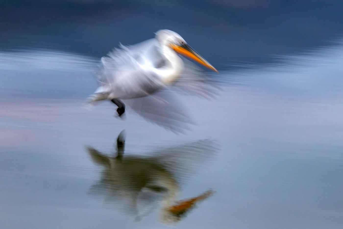 © Lieve Van Isacker