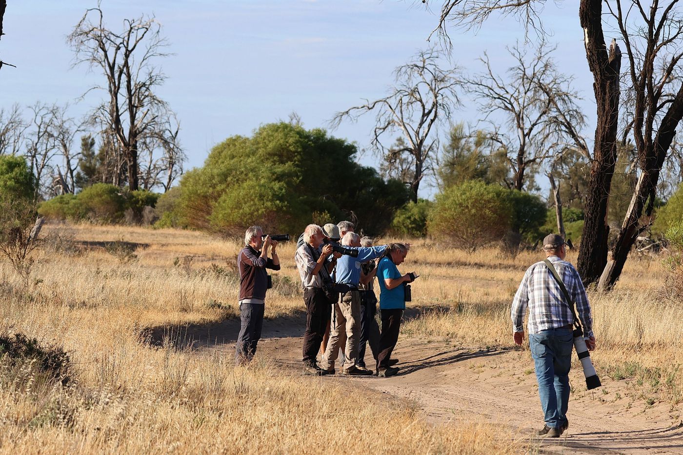 Birdwatching in the Australian outback © Jan Kelchtermans