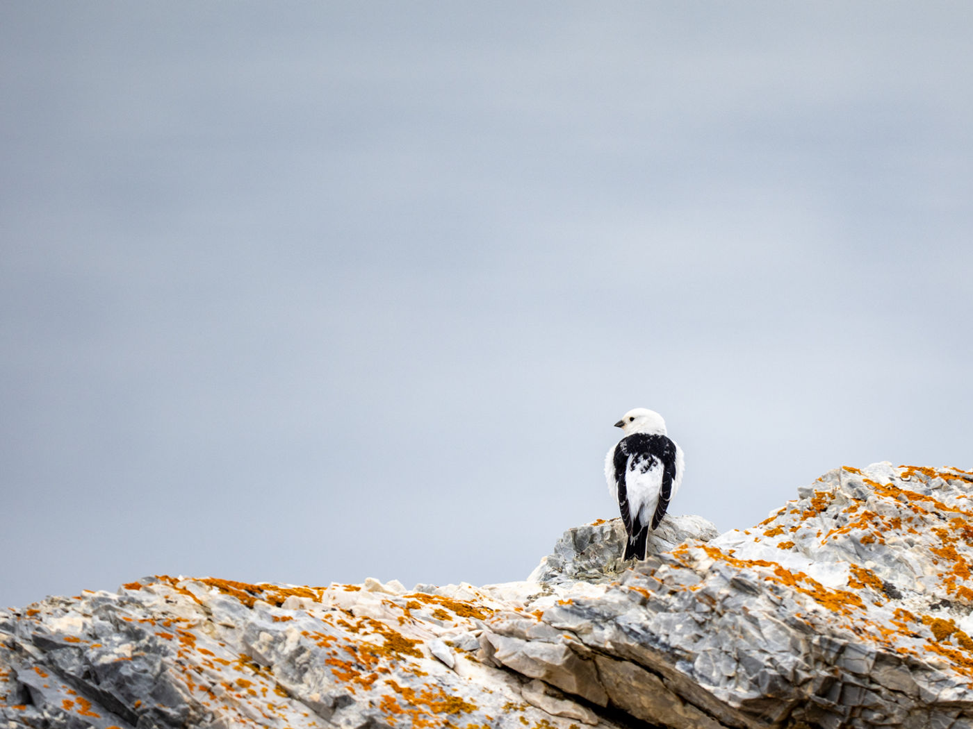 © Dörte & Jörg Hamann