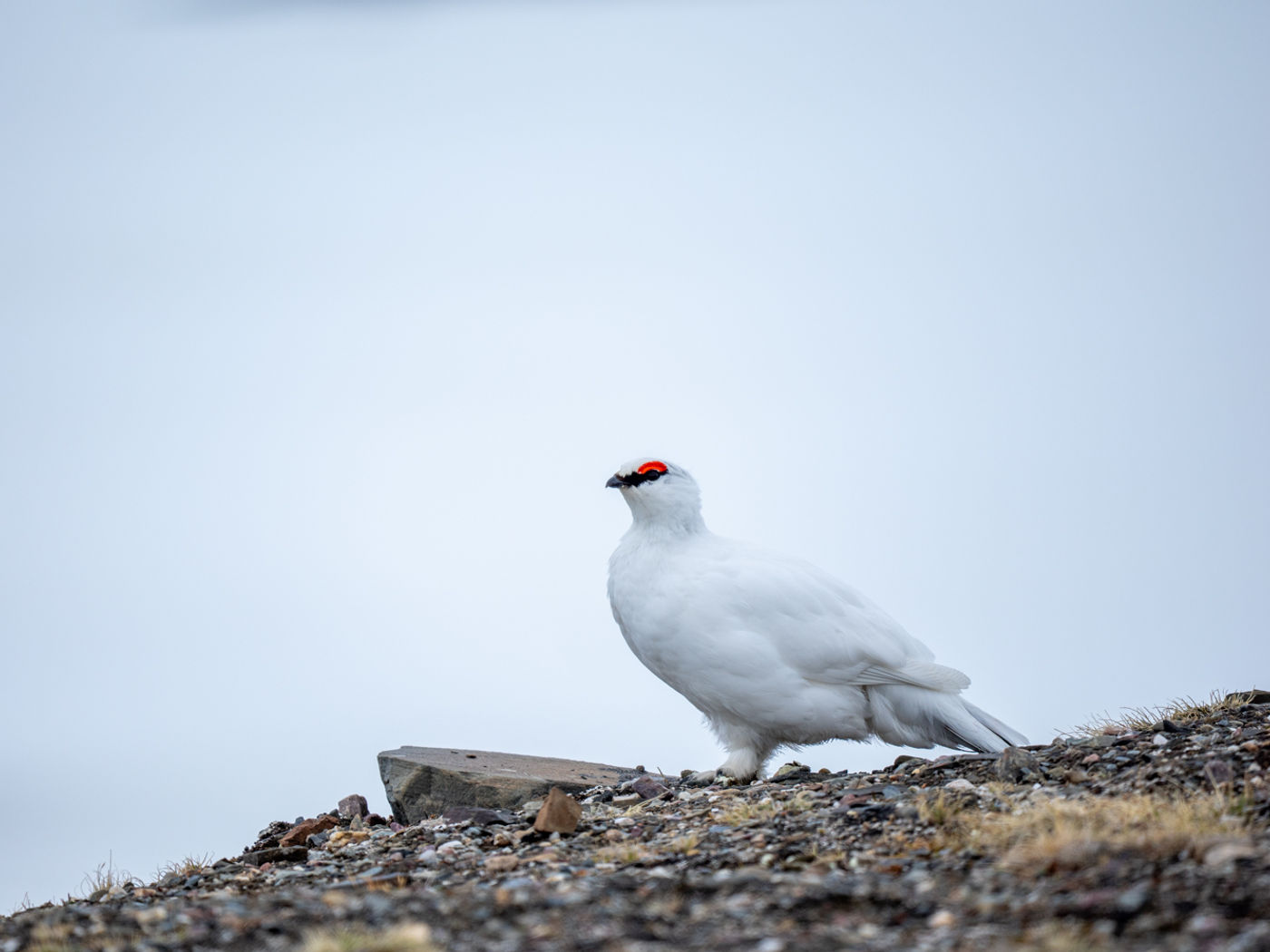 © Dörte & Jörg Hamann
