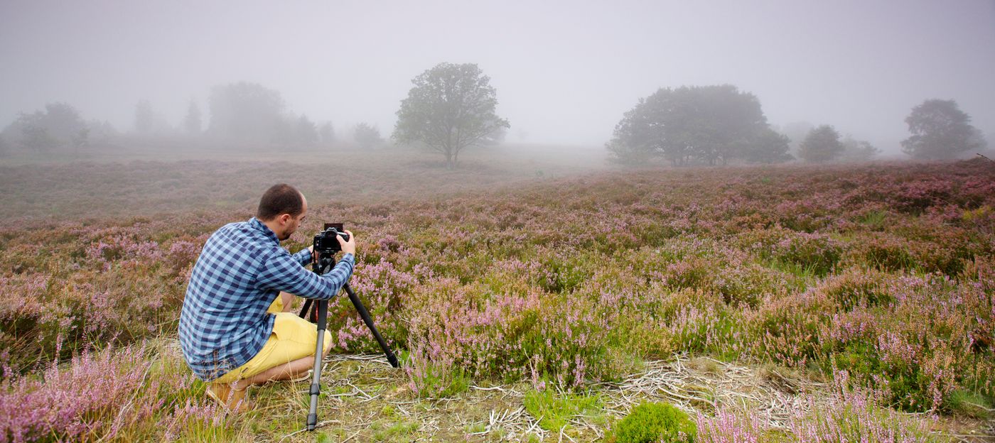 Aan het werk op de Kempense heidevelden. © Frank Resseler