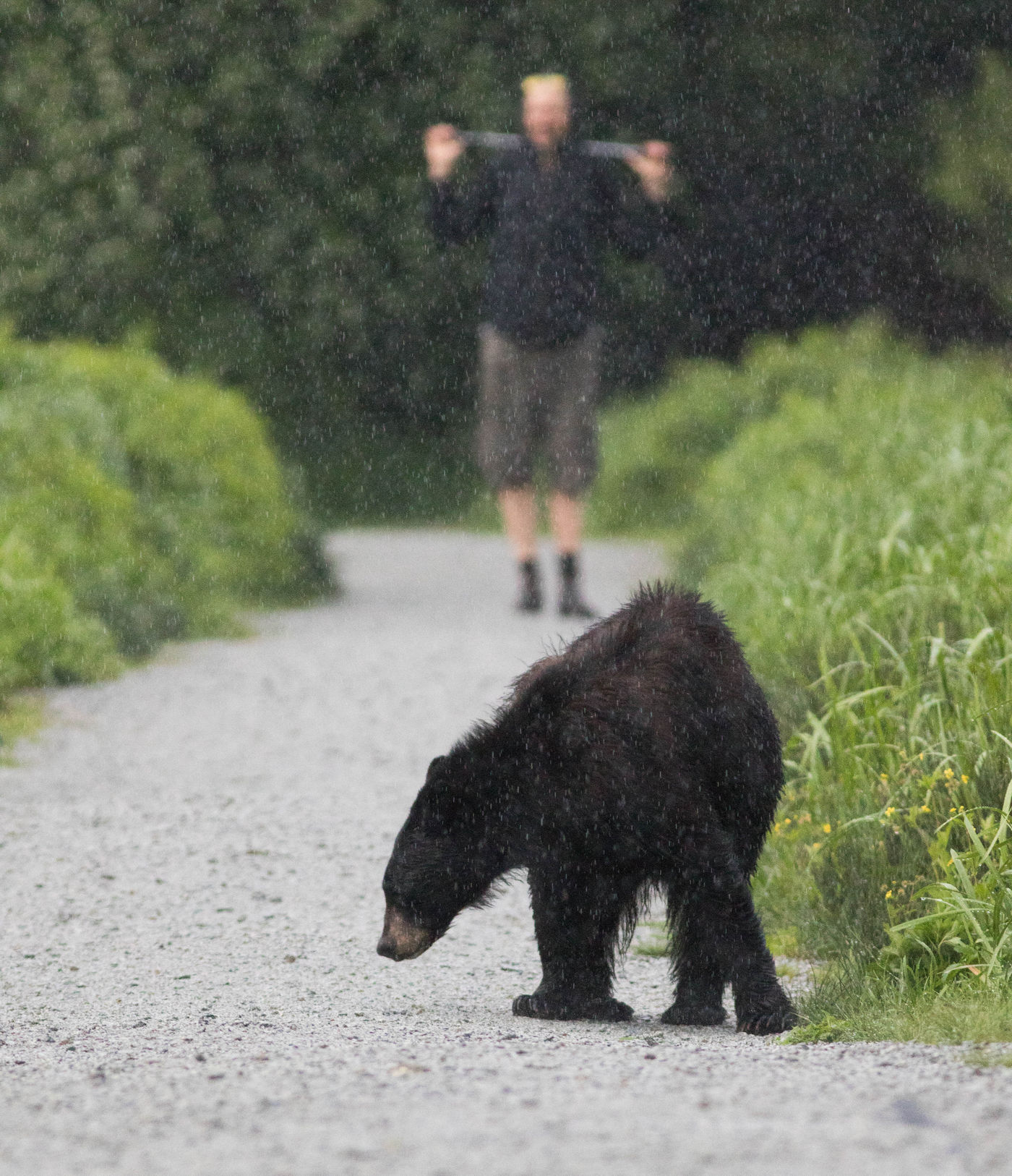Zelfs in hartje Vancouver is er altijd wel wat wildlife te vinden. © Joachim Bertrands