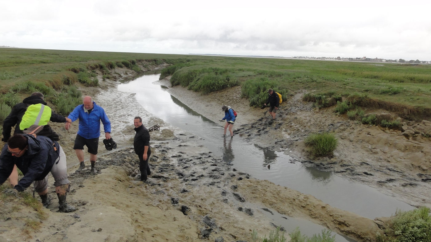 Sfeerbeeld van de groep tijdens het oversteken van een kreekje. © Ann De Grijse