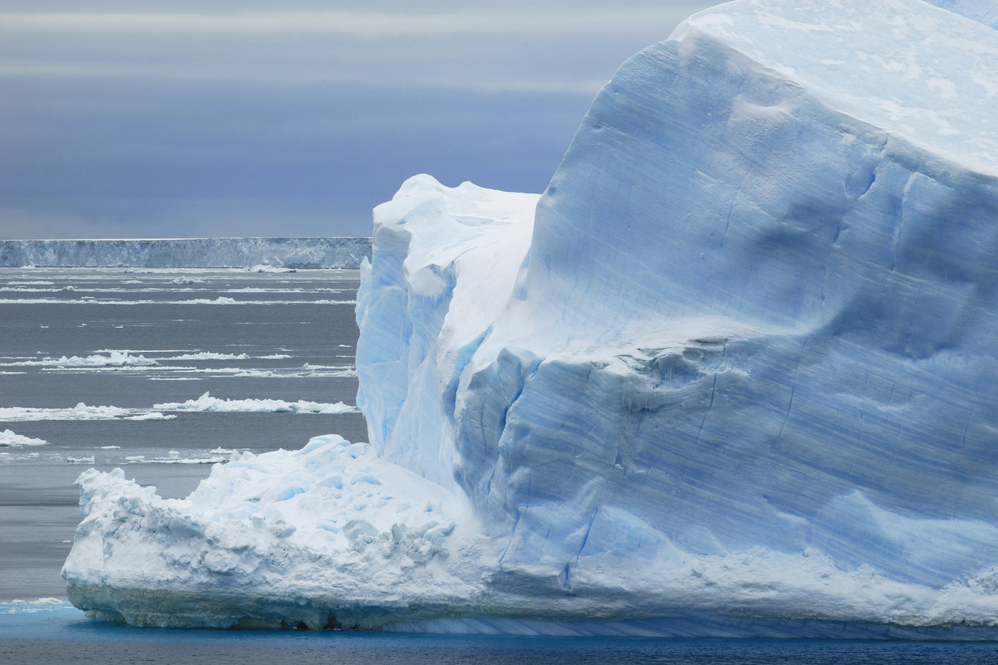 Iceberg, Paulet Island, Antarctique. © Frederik Willemyns 