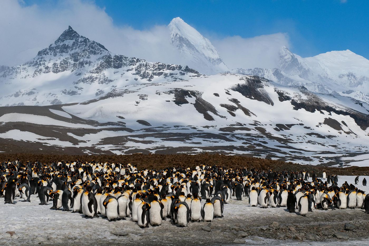 St. Andrews Bay, Géorgie du Sud, sans doute l'un des endroits les plus impressionnants au monde. © Frederik Willemyns 