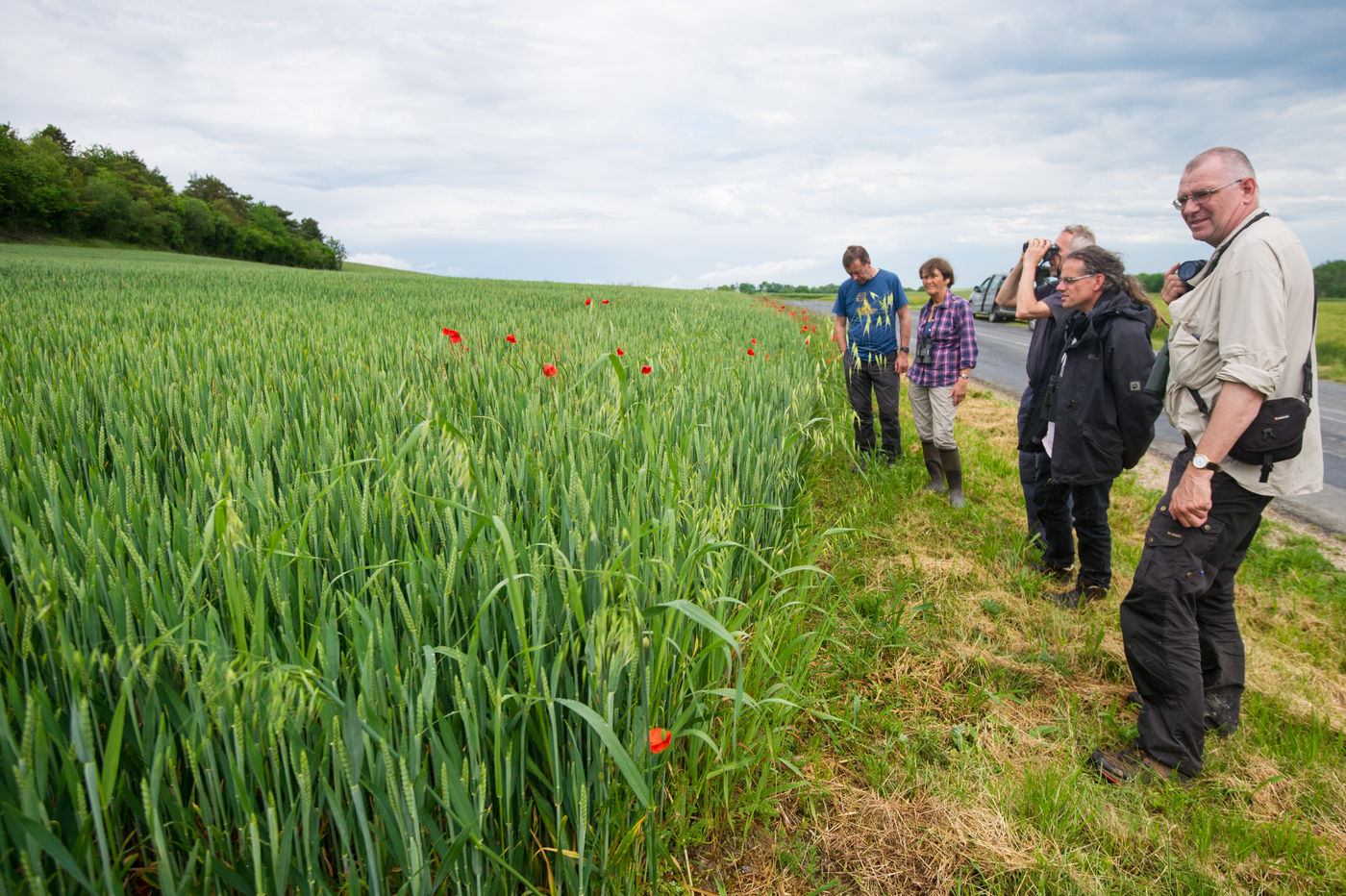 Op zoek naar akkerflora. © Billy Herman