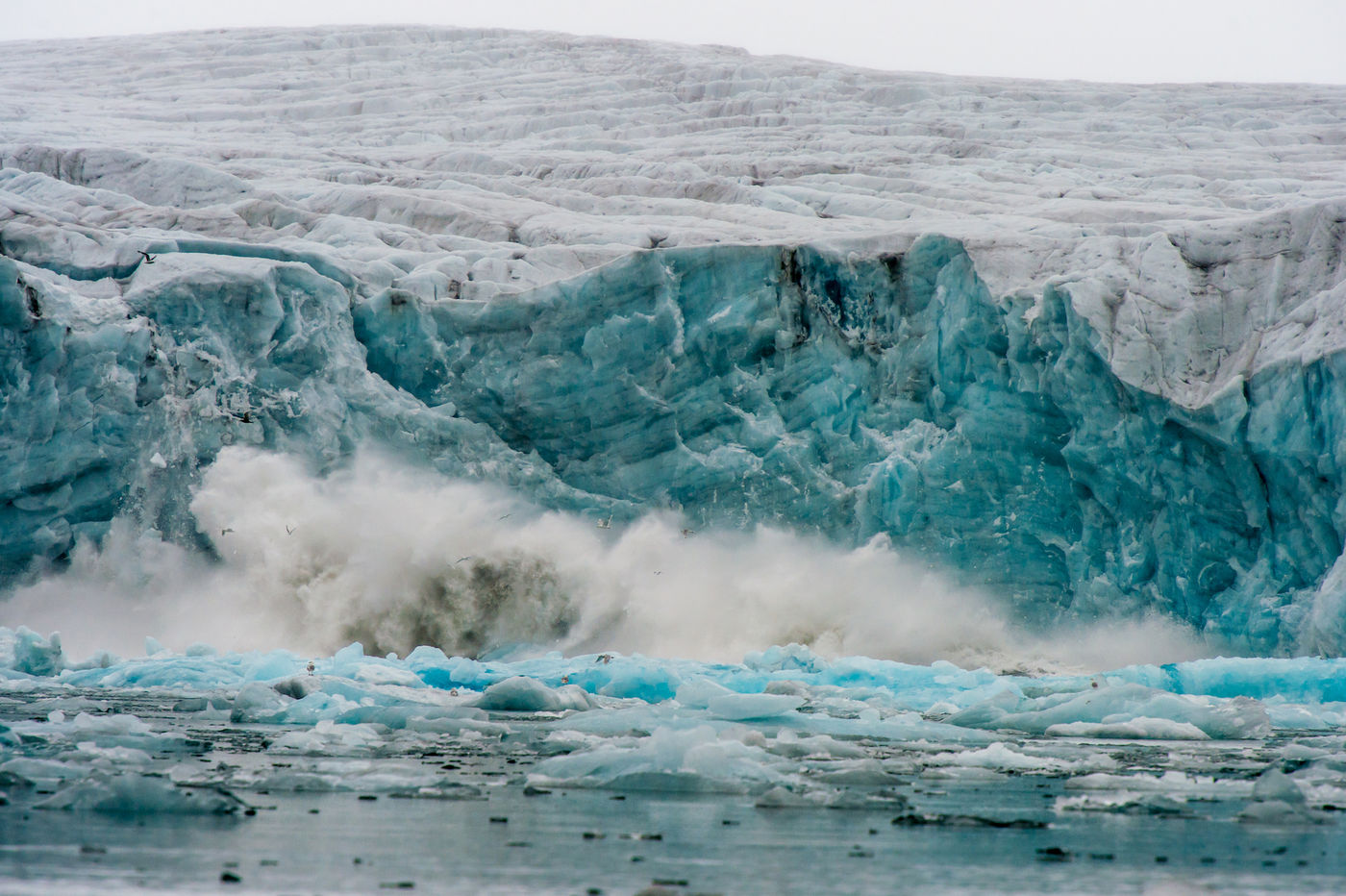 Kvitøya in augustus. © Oceanwide Expeditions