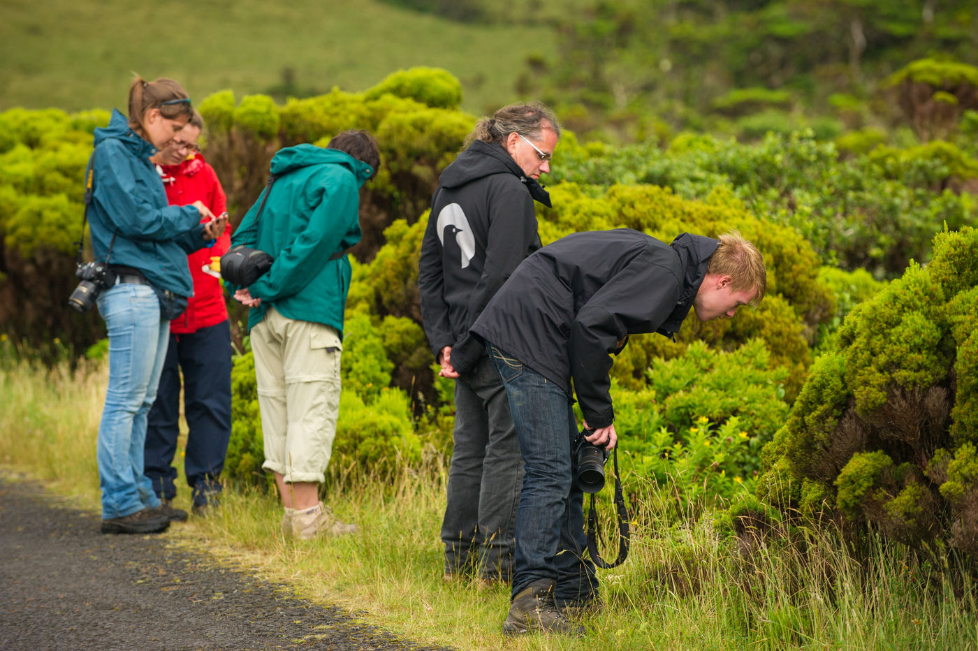 We hebben ook oog voor de talrijke plantjes. © Billy Herman