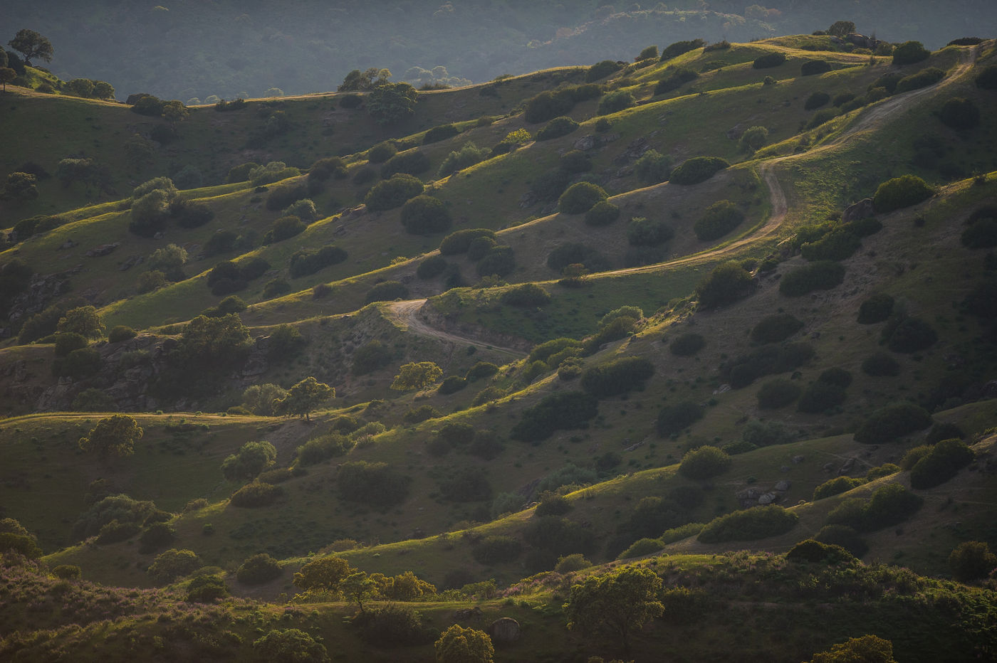 Sierra de Andujar tijdens de avond. © Billy Herman