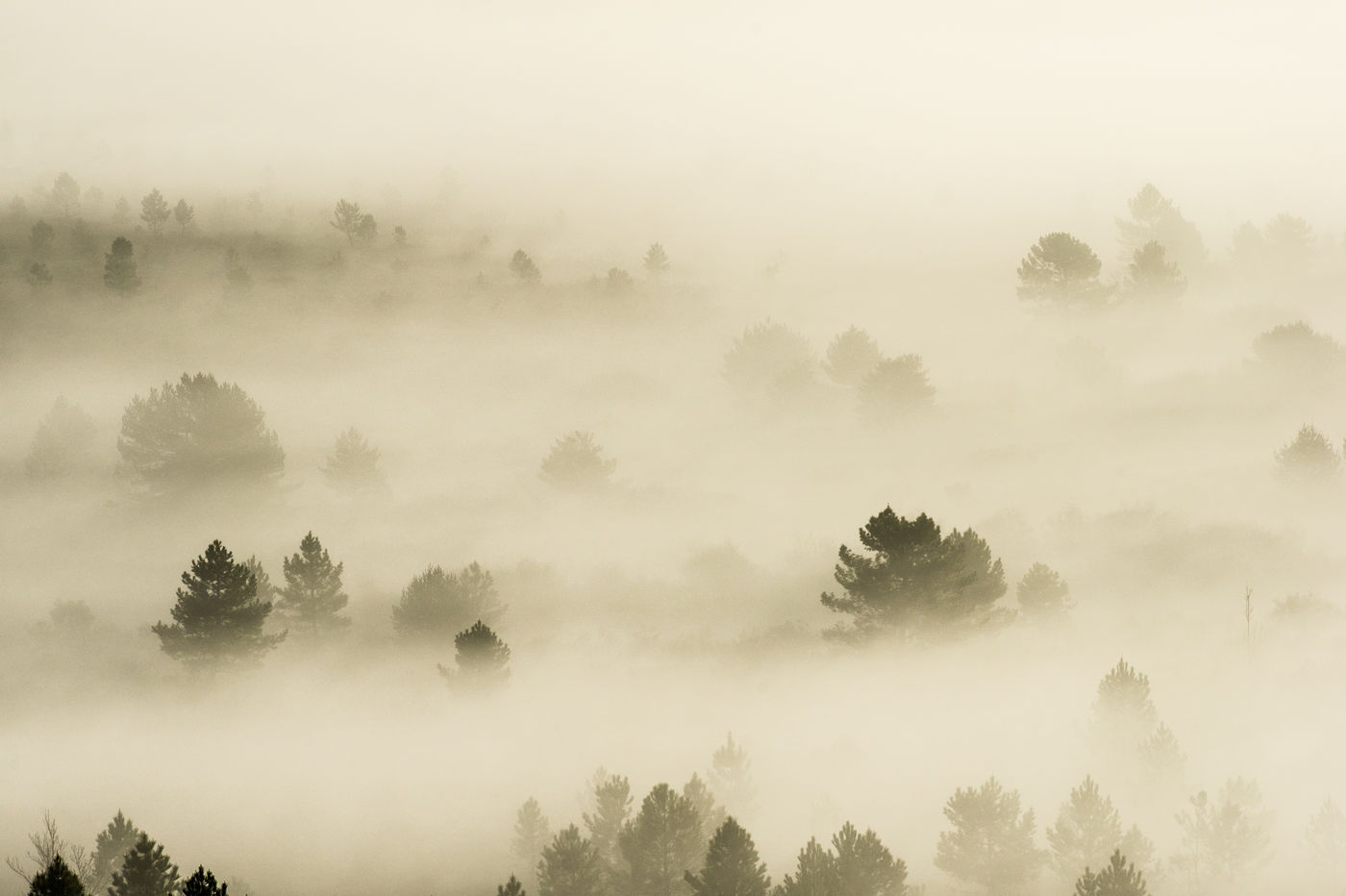 Sfeerbeeld van een mistig Spanje. © Billy Herman