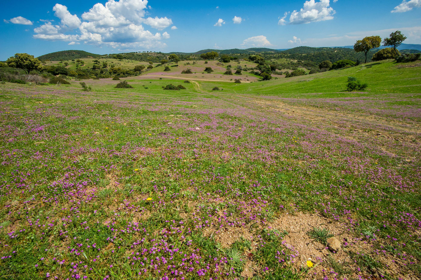 Een sfeerbeeld van het landschap in centraal Spanje. © Billy Herman