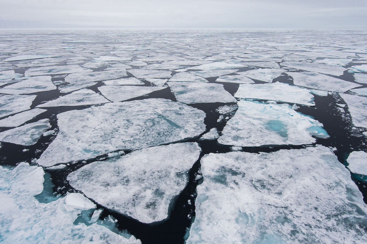 The Arctic Ocean breathes pure peace and quietness. © David 'Billy' Herman