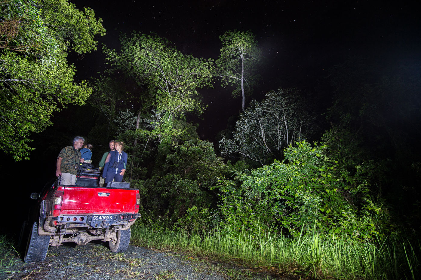 Groupe STARLING en nocturne. © Billy Herman