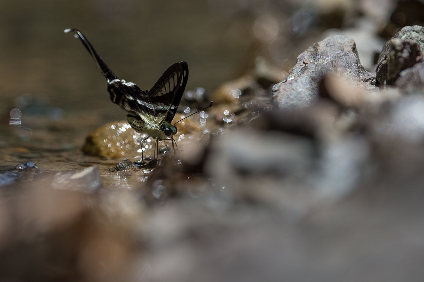 Tout se trouve dans le détail. © Billy Herman