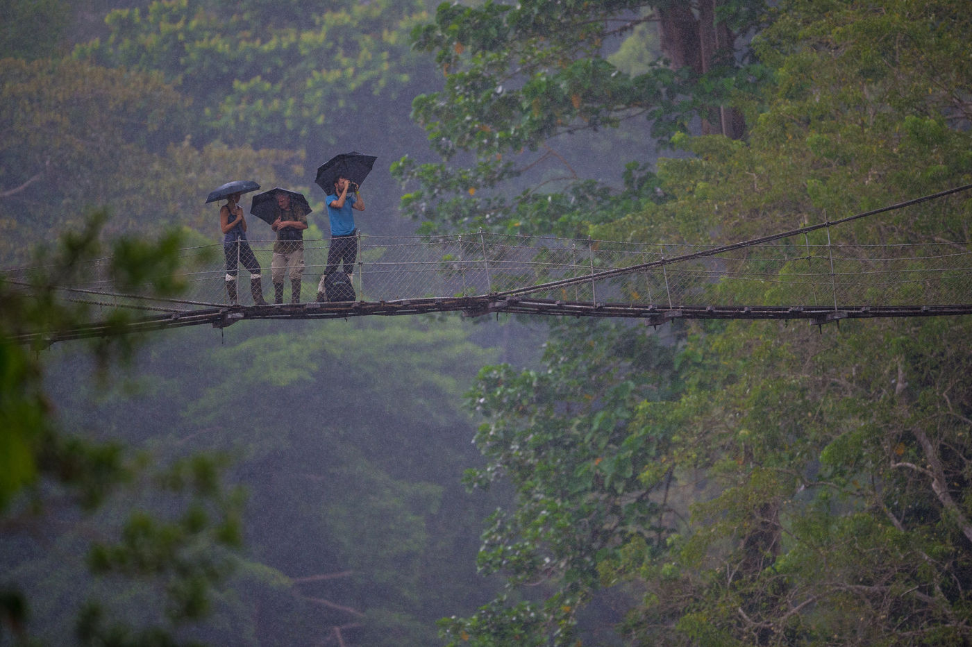 Conditions climatiques de la jungle. © Billy Herman