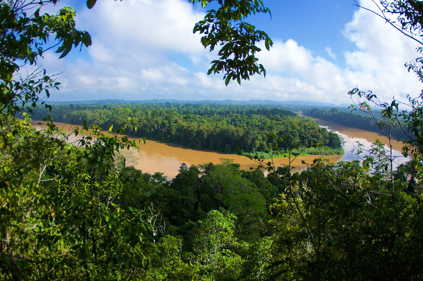 Het uitzicht over de rivier en de laaglandbossen van Borneo. 