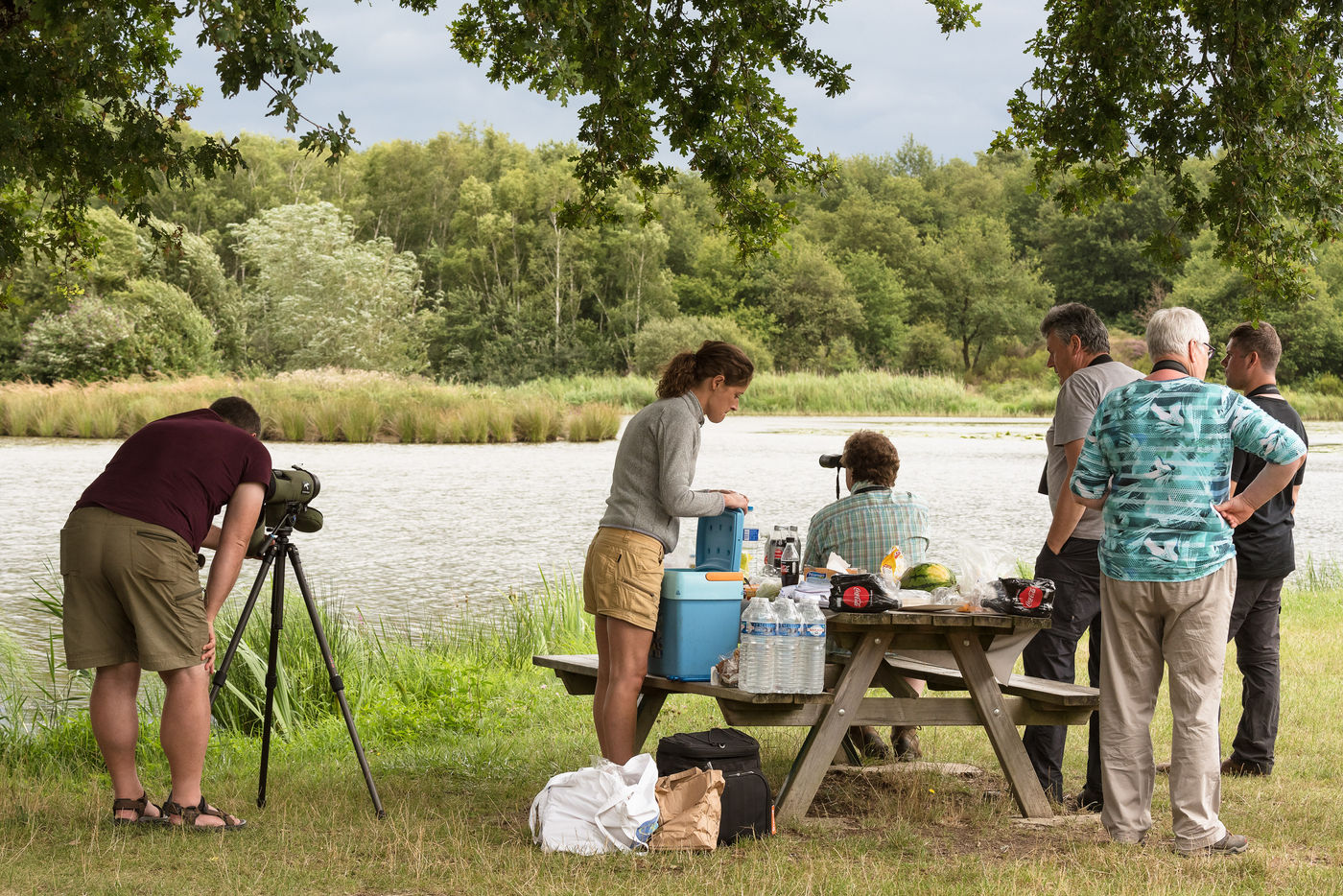 Picknick aan de oever van een voedselrijke vijver. Het is speuren naar de ralreiger! © Sandy Spaenhoven