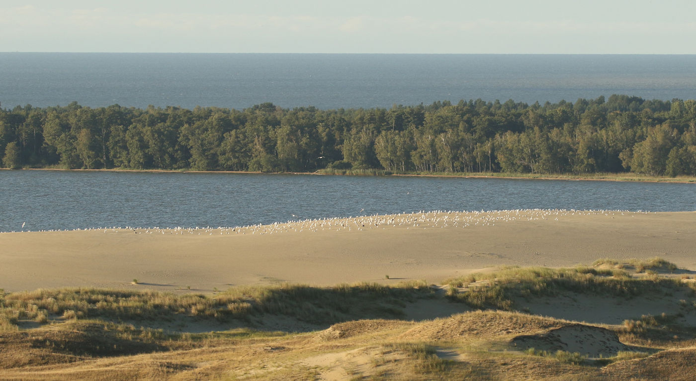 Vue sur l'isthme de Courlande. © Voyages STARLING