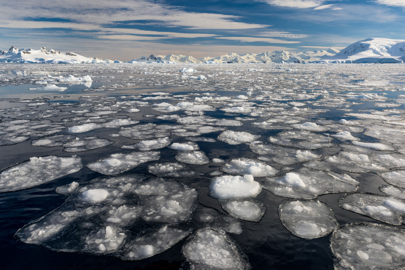 Morceaux de banquise dans Wilhelmina Bay, Antarctique. © Bart Heirweg