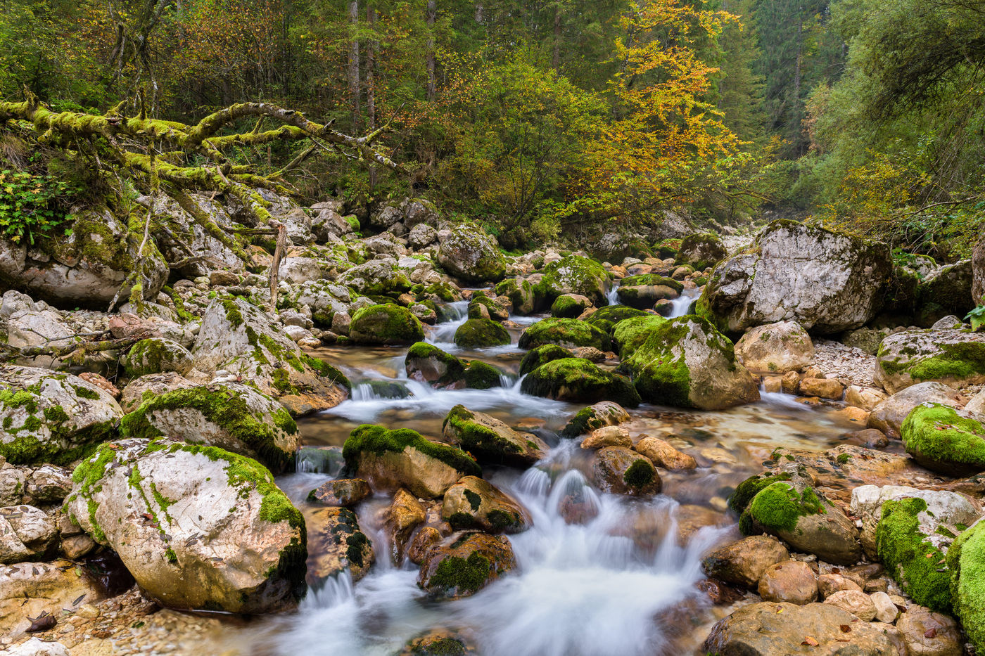 Sfeerbeeld herfstfotografie. © Bart Heirweg