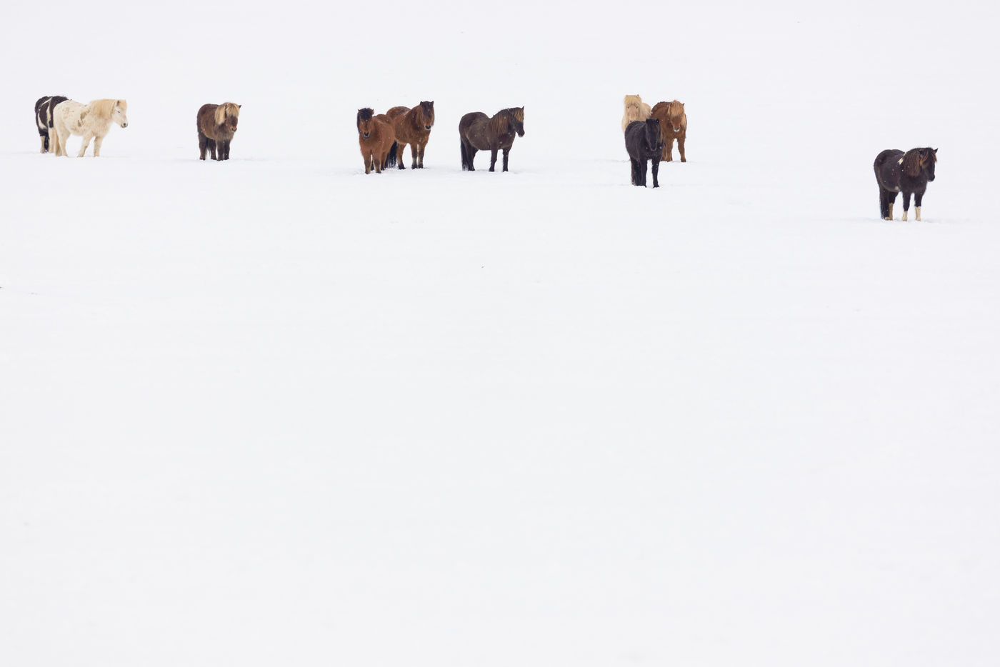 © Bart Heirweg