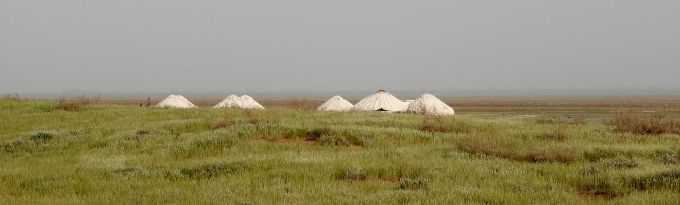 DSCN1188 Een yurtenkamp in de steppe. © Guido Orbie