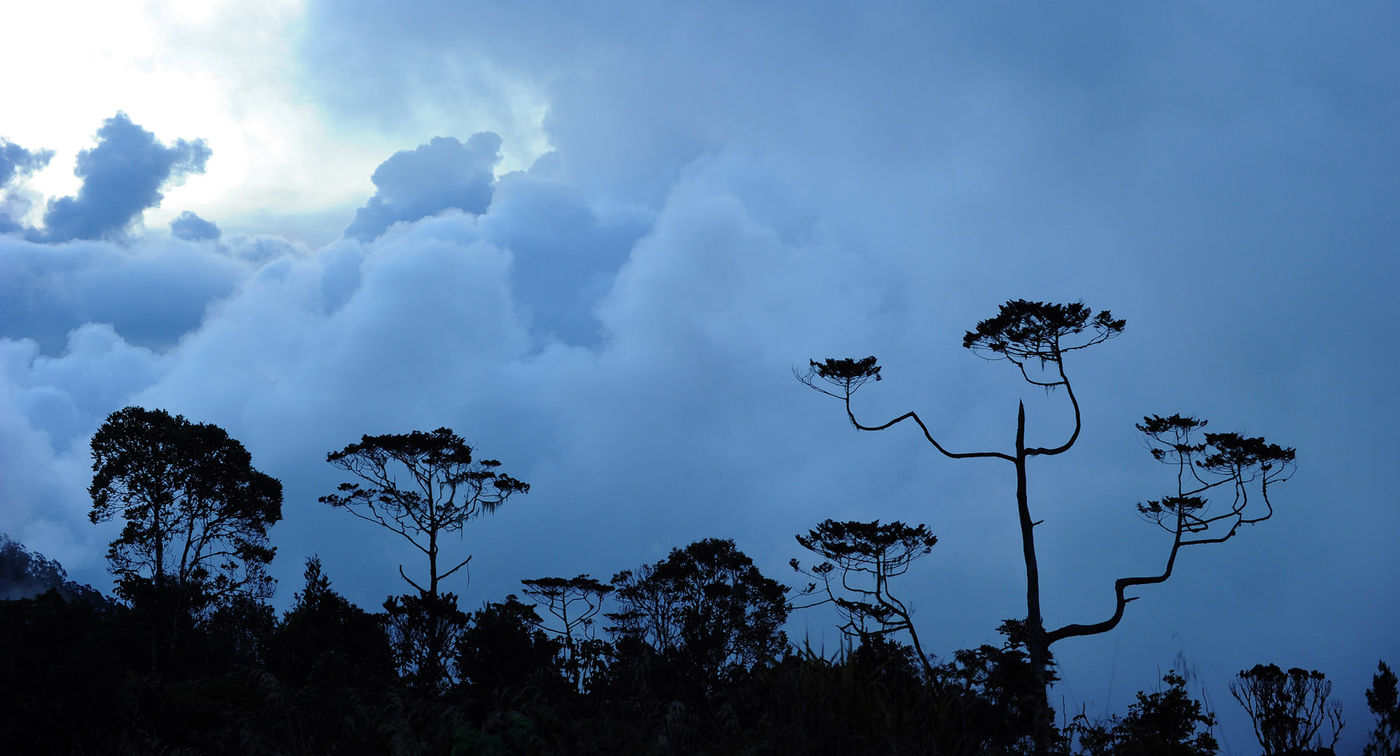 Het landschap in Pondok Tiga. © STARLINGreizen