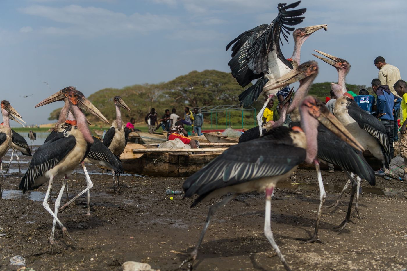 Sfeerbeeld van de vissershaven en maraboes. © Billy Herman