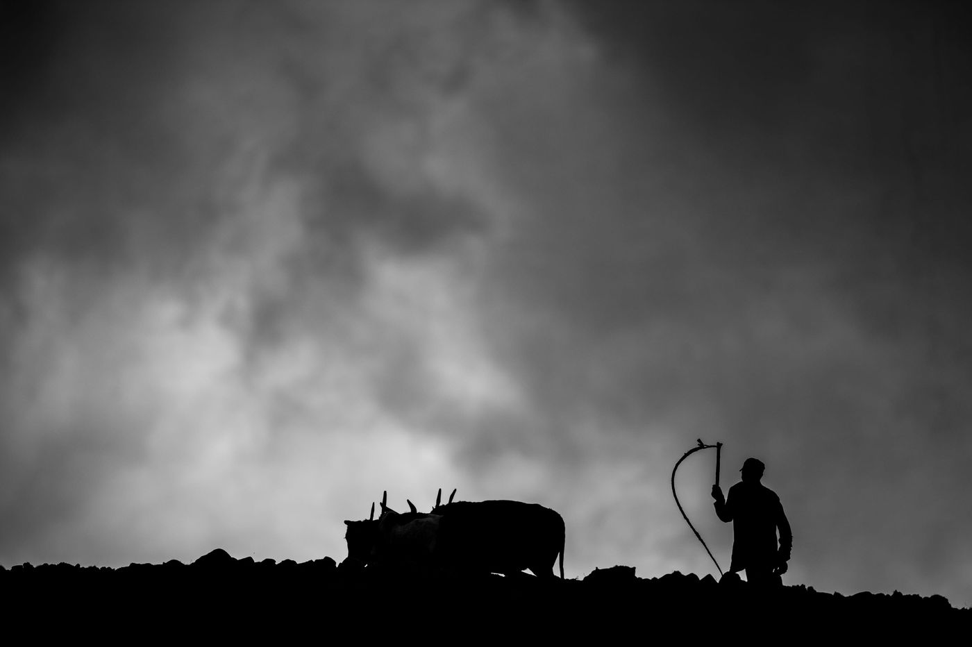 Sfeerbeeld van het platteland. © Billy Herman