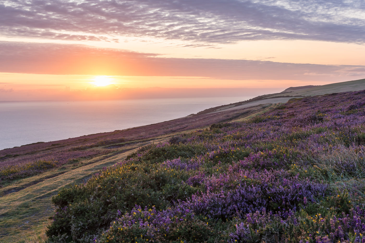 Zonsopgang in Countisbury Hill. © Sandy Spaenhoven