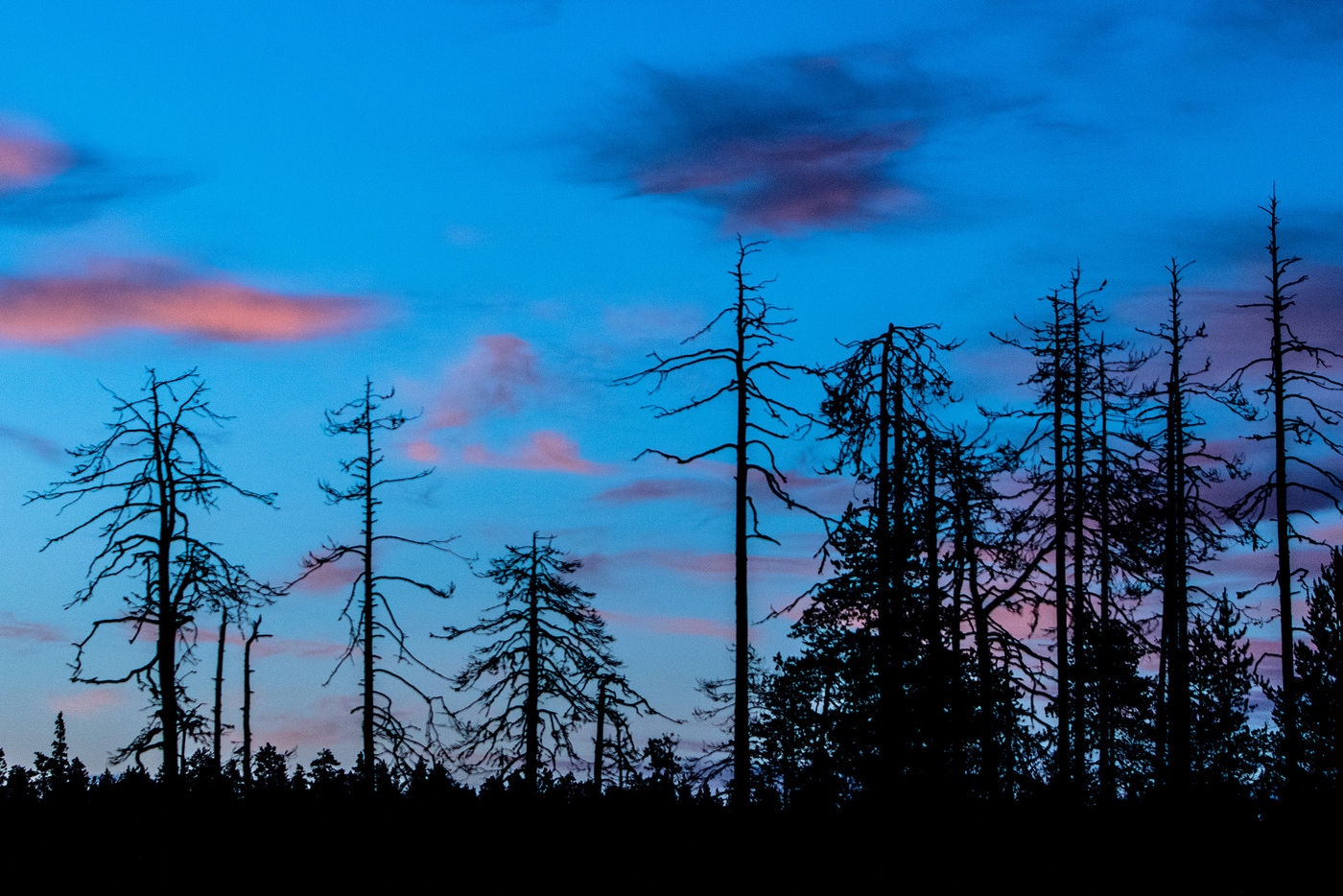 Ambiances nordiques © Rudi Debruyne