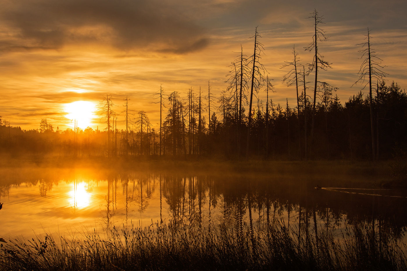 Coucher de soleil finlandais © Rudi Debruyne