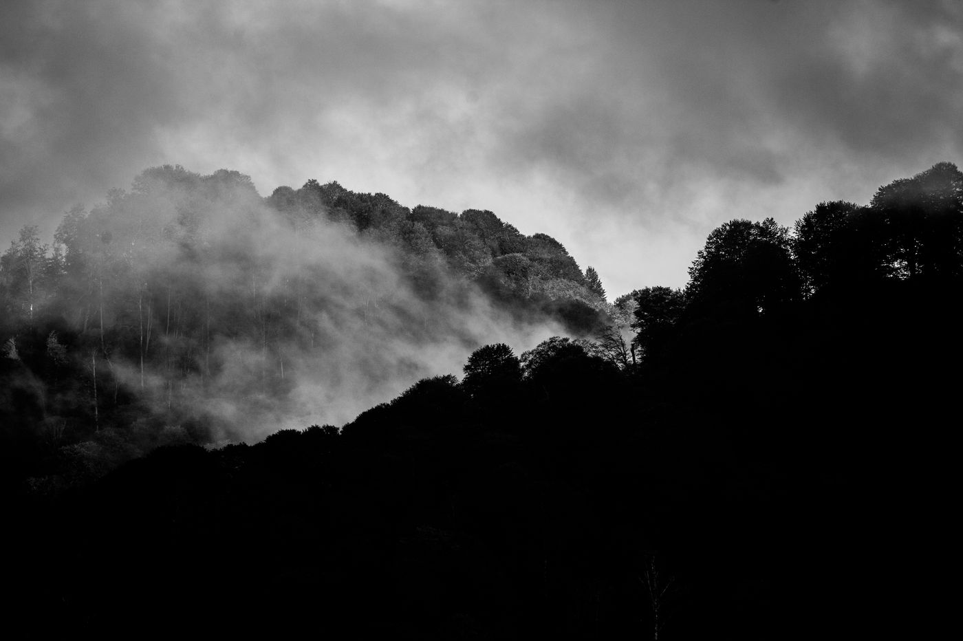 De mist trekt op. Altijd spannend afwachten wat de volgende uren zal brengen. © Billy Herman