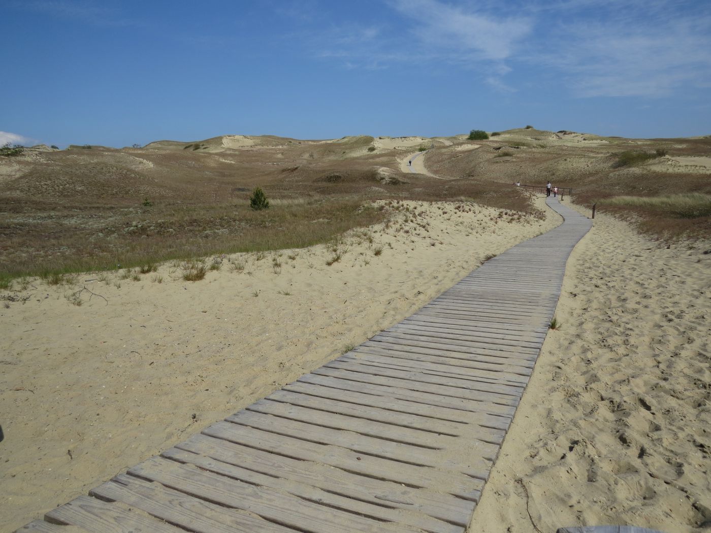 Les dunes grisâtres de l'isthme de Courlande. © Voyages STARLING