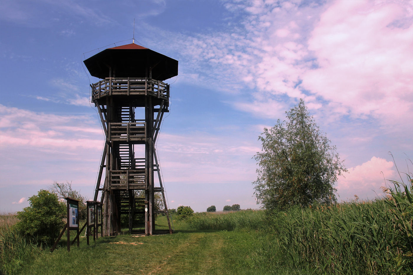 Hoge uitkijktorens lenen zich uitstekend om het gebied te overzien. © Sabine Ongenae