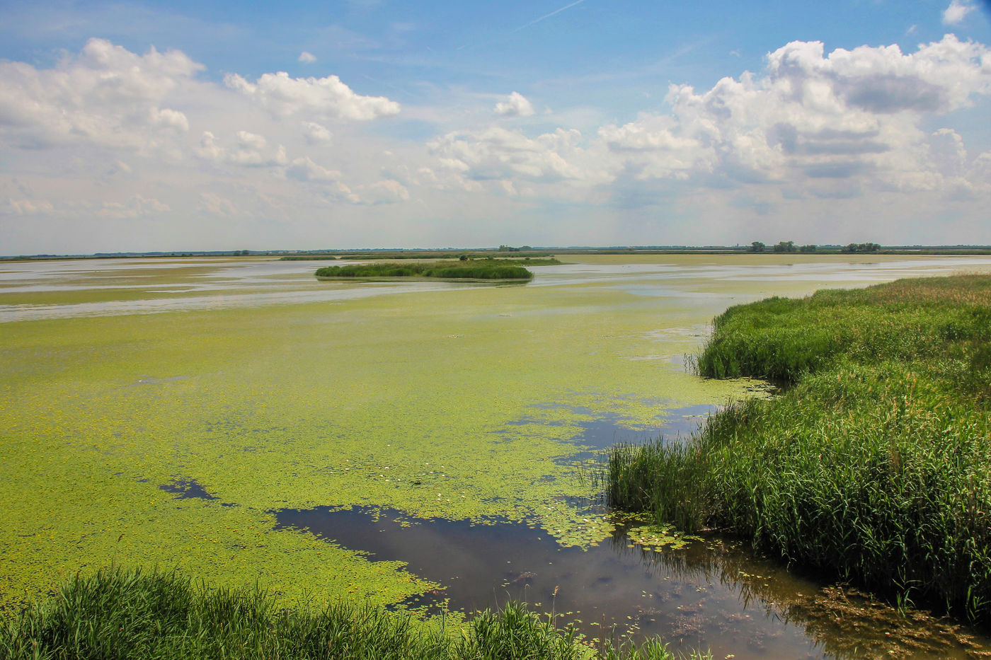 Sfeerbeeld van het Tiszameer. © Sabine Ongenae