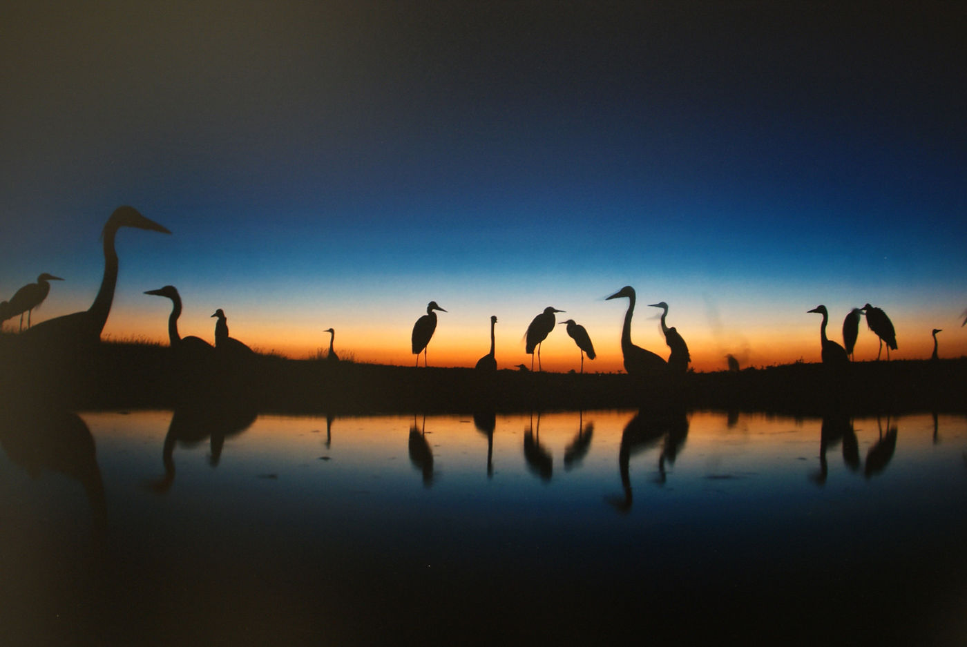 Het ondergaan van de zon boven de vijver. © Bence Máté